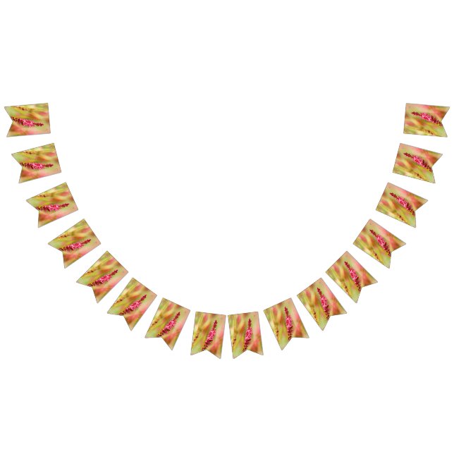 kolorbush vimplar (Alla)