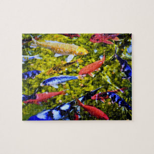 Kolorful Kauai Koi Pussel