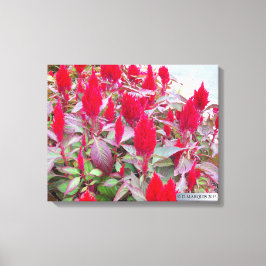 KOLORFULLA FLOROR #2 CANVASTRYCK