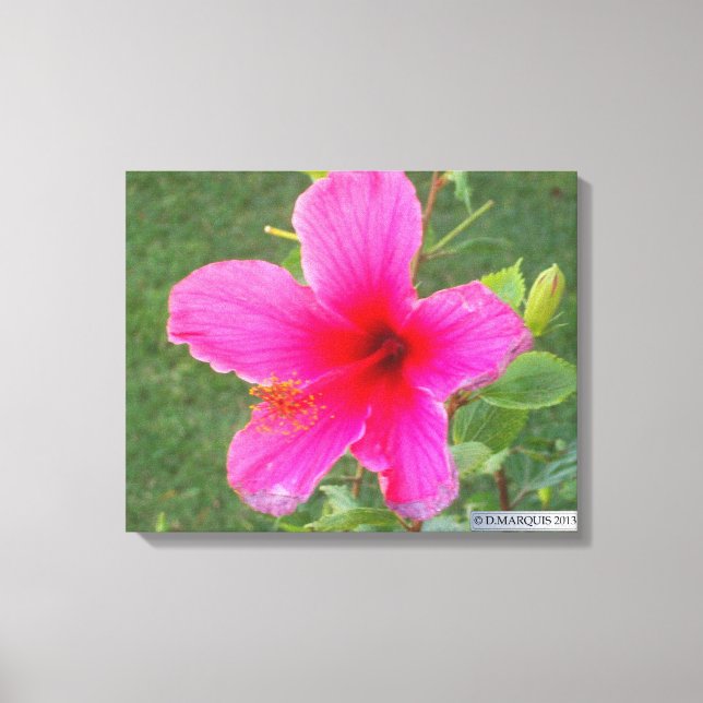 KOLORFULLA FLOROR nr 5 Canvastryck (Framsida)