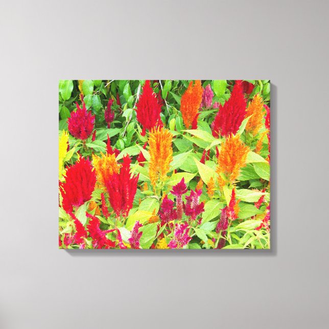 KOLORFULLT FLORA nr 1 Canvastryck (Framsida)