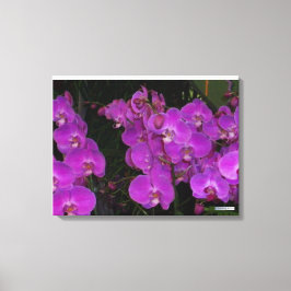 KOLORFULLT FLORA nr 3 Canvastryck