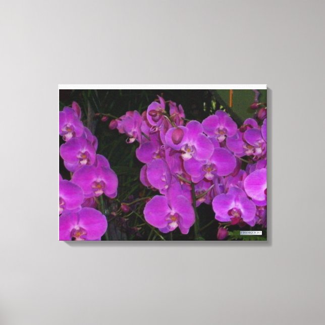 KOLORFULLT FLORA nr 3 Canvastryck (Framsida)