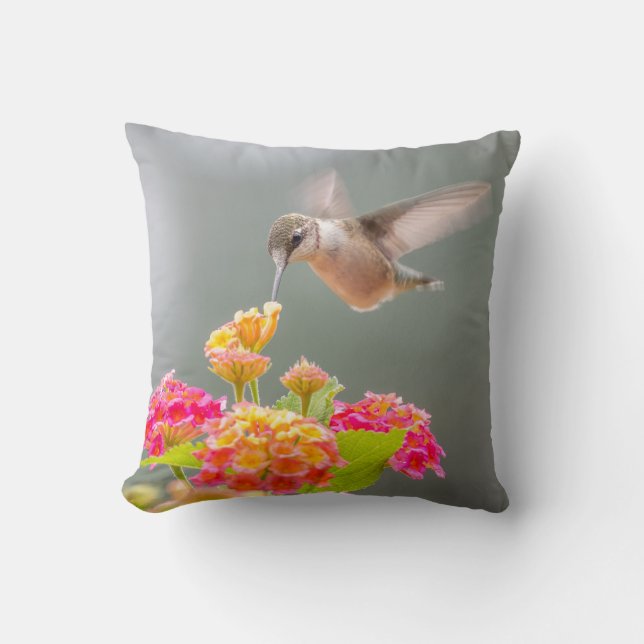 Kolorösa naturblommor Hummingbird Kudde (Framsida)
