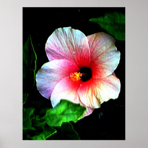 Kolossal 72" x 52" och 52" x 72" Giclée konst Poster