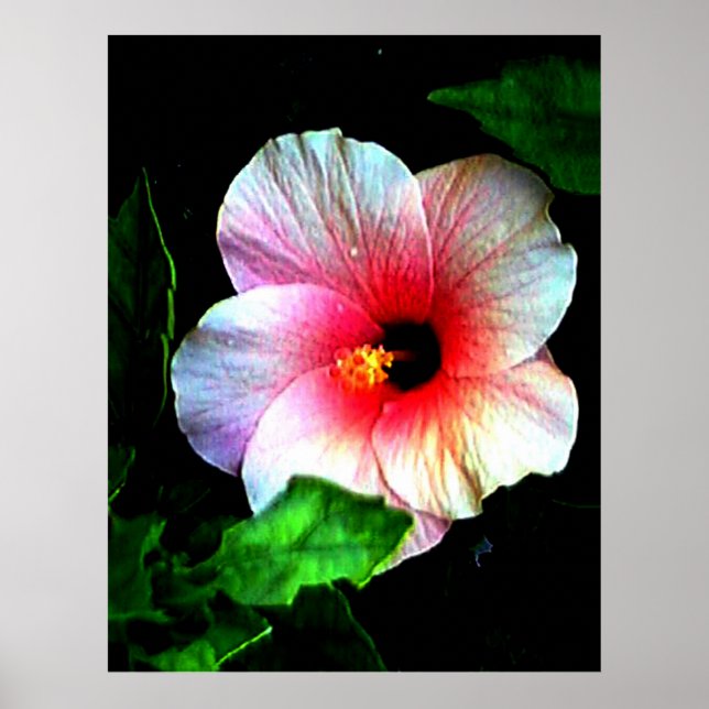 Kolossal 72" x 52" och 52" x 72" Giclée konst Poster (Framsidan)