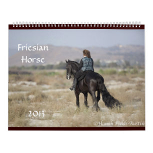 Kolossal Friesianhästkalender 2013 Kalender