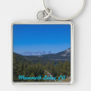Kolossal sjöar, CA-keychain Fyrkantig Silverfärgad Nyckelring
