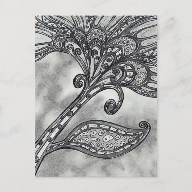 Kolrymdsblomma 4 vykort (Framsida)