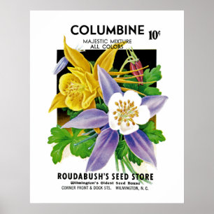 Kolumbin Poster