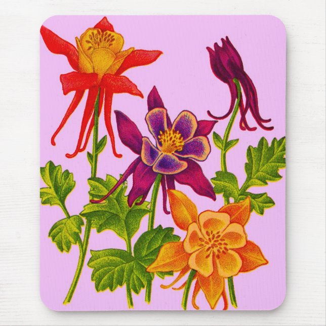 kolumbina blommor musmatta (Framsidan)