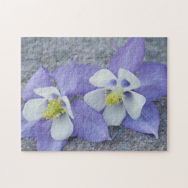 Kolumbine Flower Pair Pussel (Horisontell)