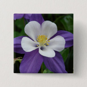 Kolumbine Lila och White Flower Button Knapp