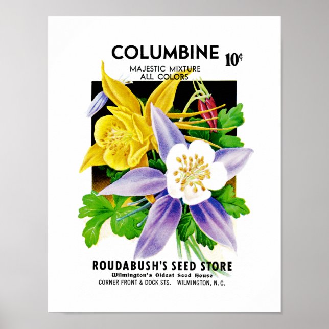 Kolumbine Seed Packet Label Poster (Framsidan)