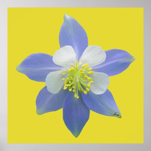 Kolumin 2 poster (Framsidan)