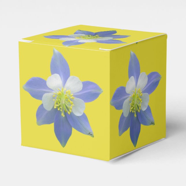 Kolumin 2 presentaskar (Framsidan Sidan)