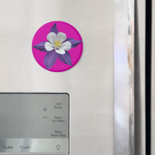 Kolumin Lila och vitt blomsternät Magnet
