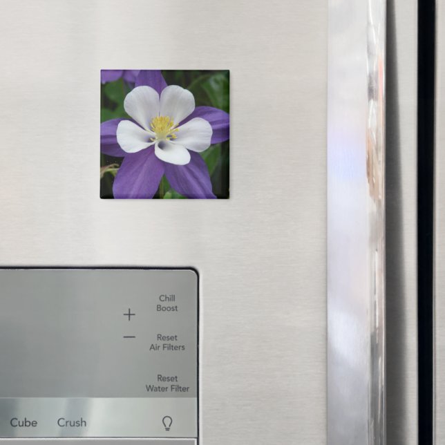 Kolumin Lila och vitt blomsternät Magnet (In Situ (Fridge))