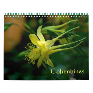 Kolumner Kalender