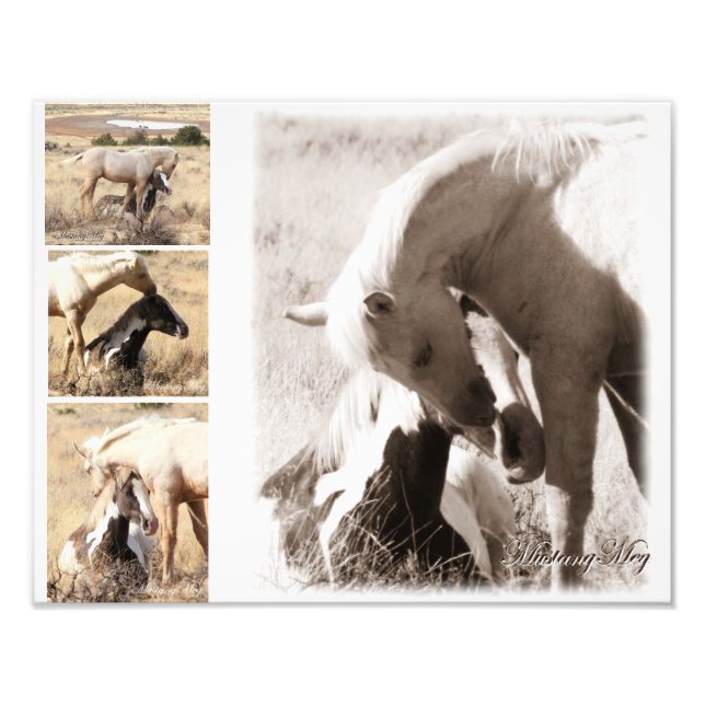 Kolumnerna blir Colts - Mustang Collage Fototryck (Framsidan)