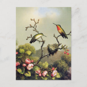 Kolvibri-Familj och Äppelblomster Postkort Vykort