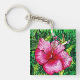 Kolvibri Hibiskus