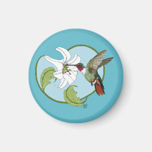 Kolvibri Lily Blå Art Nouveau Magnet