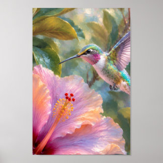 Kolvibri med Hibiskus Aquarell Poster