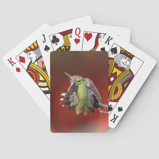 Kolvibrisdans Casinokort (Baksidan)