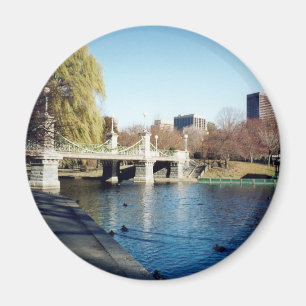 kolvstam magnet