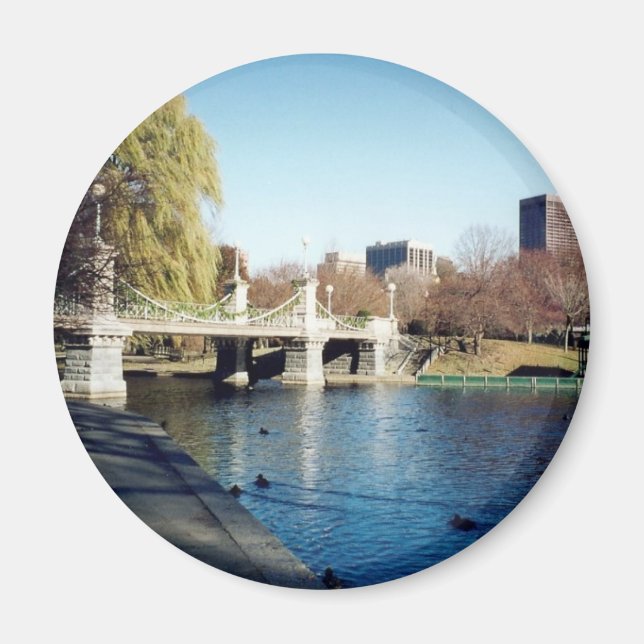 kolvstam magnet (Framsidan)