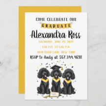 Kom firar vår Student Standard Pudel Hundar