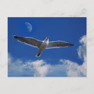 Kom flyger med mig vykort