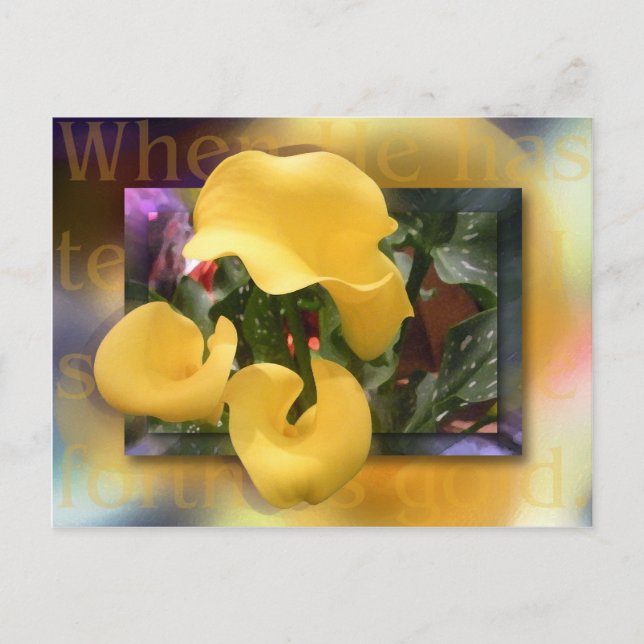 Kom Forth som Guld Vykort (Framsida)