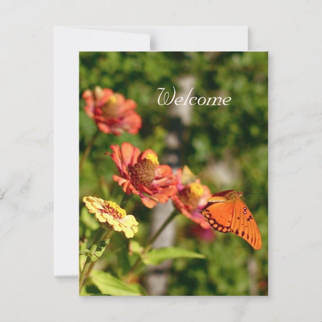 Kom går med oss för en picknick inbjudningar (Framsida)