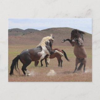 Kom Hämta lite Vykort