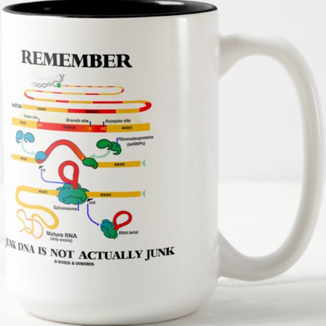 Kom ihåg att skräppost-DNA inte är skräppost Två-Tonad Mugg (Biologists and biology teachers will enjoy this mug featuring RNA splicing and scientific advice)