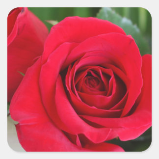 Kom ihåg Kärlek Fyrkantigt Klistermärke