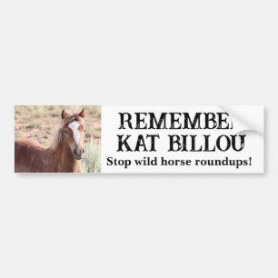 Kom ihåg Kat Billou Vild Horse Bildekal