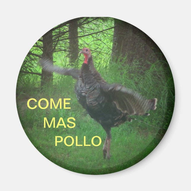 Kom Mas Pollo Funny Turkiet Magnet (Framsidan)