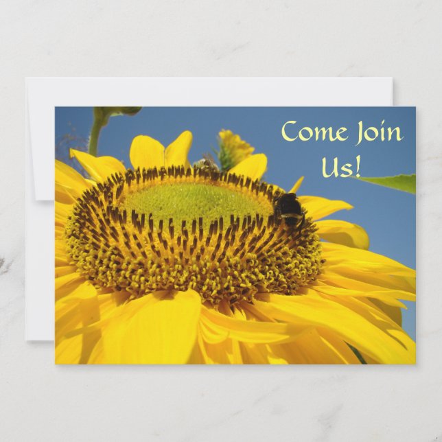 Kom och delta! Festinbjudningar Evenemang Solrosor Inbjudningar (Framsida)