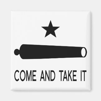 Kom och ta den Flagga ~ Texas Magnet