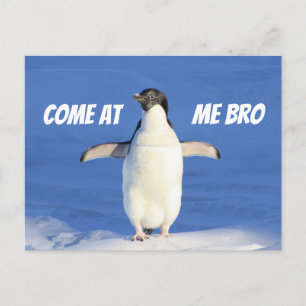 Kom på Me Bro Meme Penguin-vykort Vykort