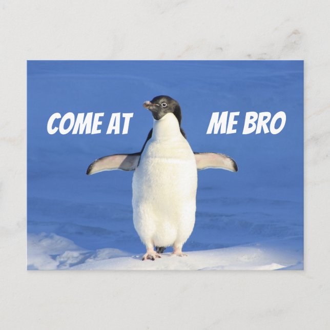 Kom på Me Bro Meme Penguin-vykort Vykort (Framsida)