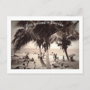 Kom precis i Florida! Vintage Vykort