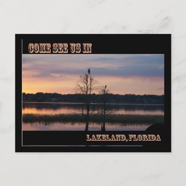 Kom ser oss i Lakeland, FL-vykort Vykort (Framsida)