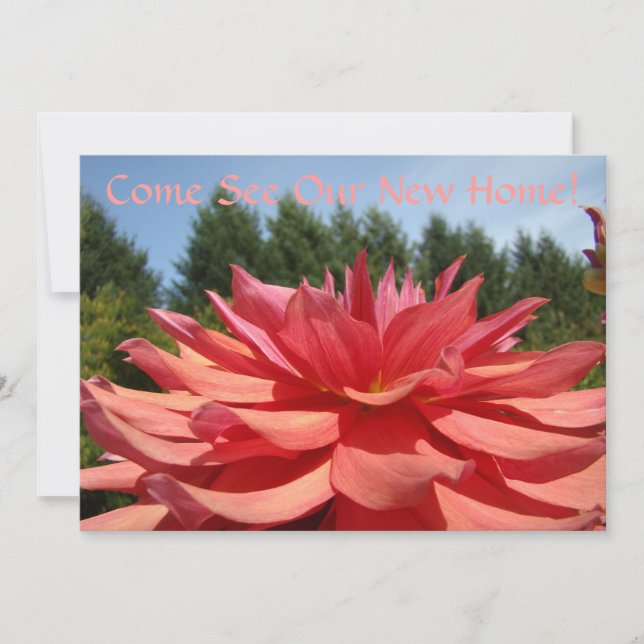 Kom ser våra nya inbjudningar till Anpassningsbarn (Framsida)