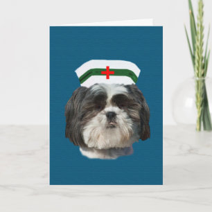 Kom, Shih Tzu Hund Kort