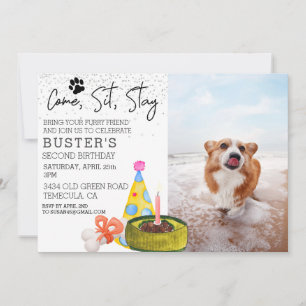 Kom Sit Stanna Hund Birthday Photo Party Inbjudningar