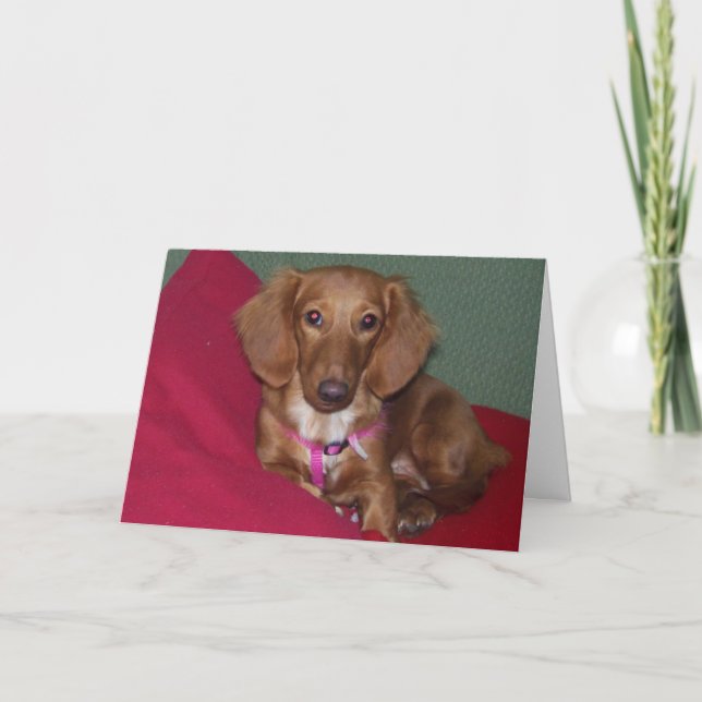 Kom snart, Dachshund Kort (Framsida)